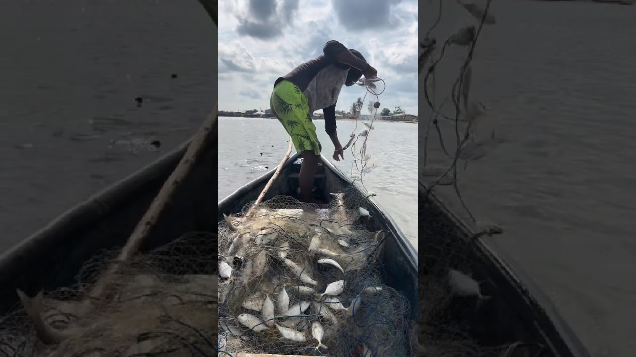 FUIMOS A PESCAR Y REGALAMOS LOS PESCADOS FRESCOS A LA GENTE 