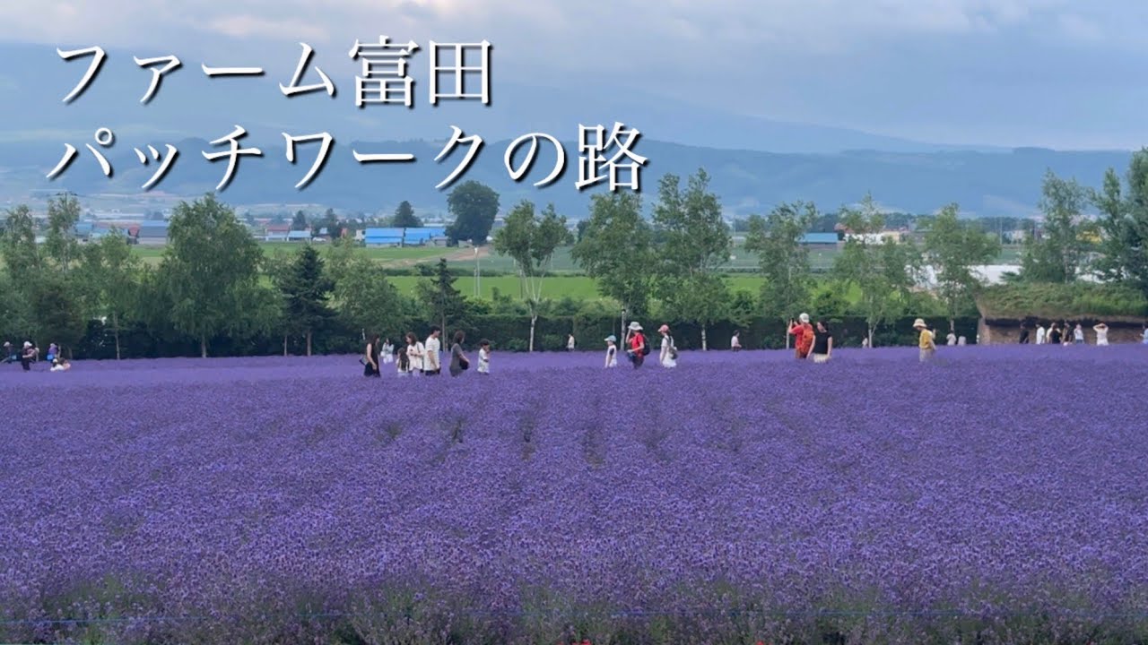 【北海道旅㉛】夏の富良野と美瑛を楽しんだ1日。 ハイエースバンライフ