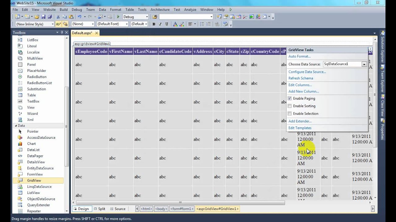 search in grid view in asp.net.wmv