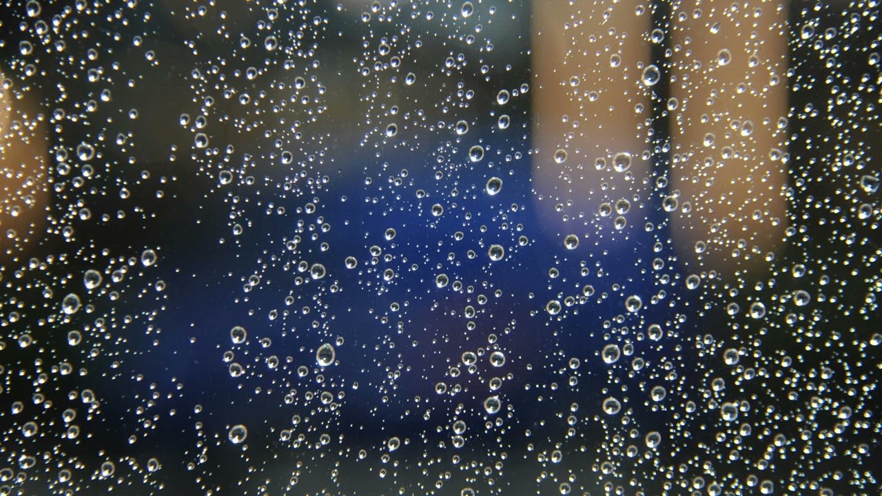 Serene Water Stream and Nature Sounds