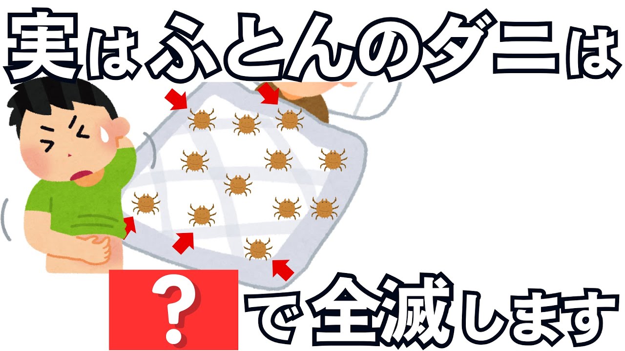 布団のダニをなんとかしたい【健康雑学】