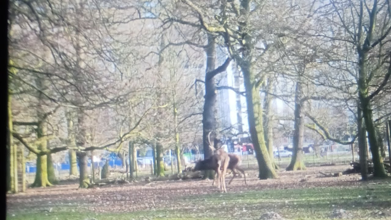 beautiful farm nature