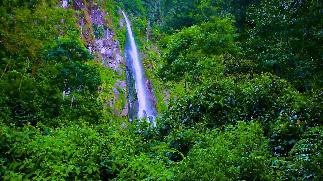 Mountain River Flowing Sounds to Improve Focus and Reduce Mental Noise