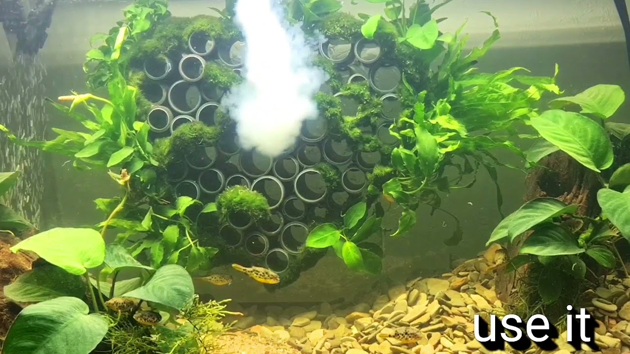 Positive bacteria booster for freshwater tanks