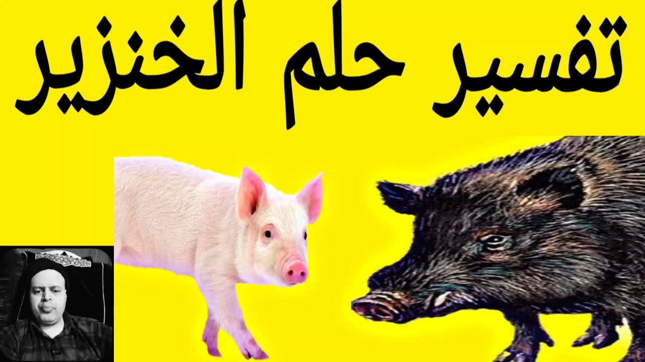 تفسير حلم رؤية الخنزير في المنام لابن سيرين والنابلسي، تفسير الخنزير للرجل والمرأة المتزوجه والفتاه