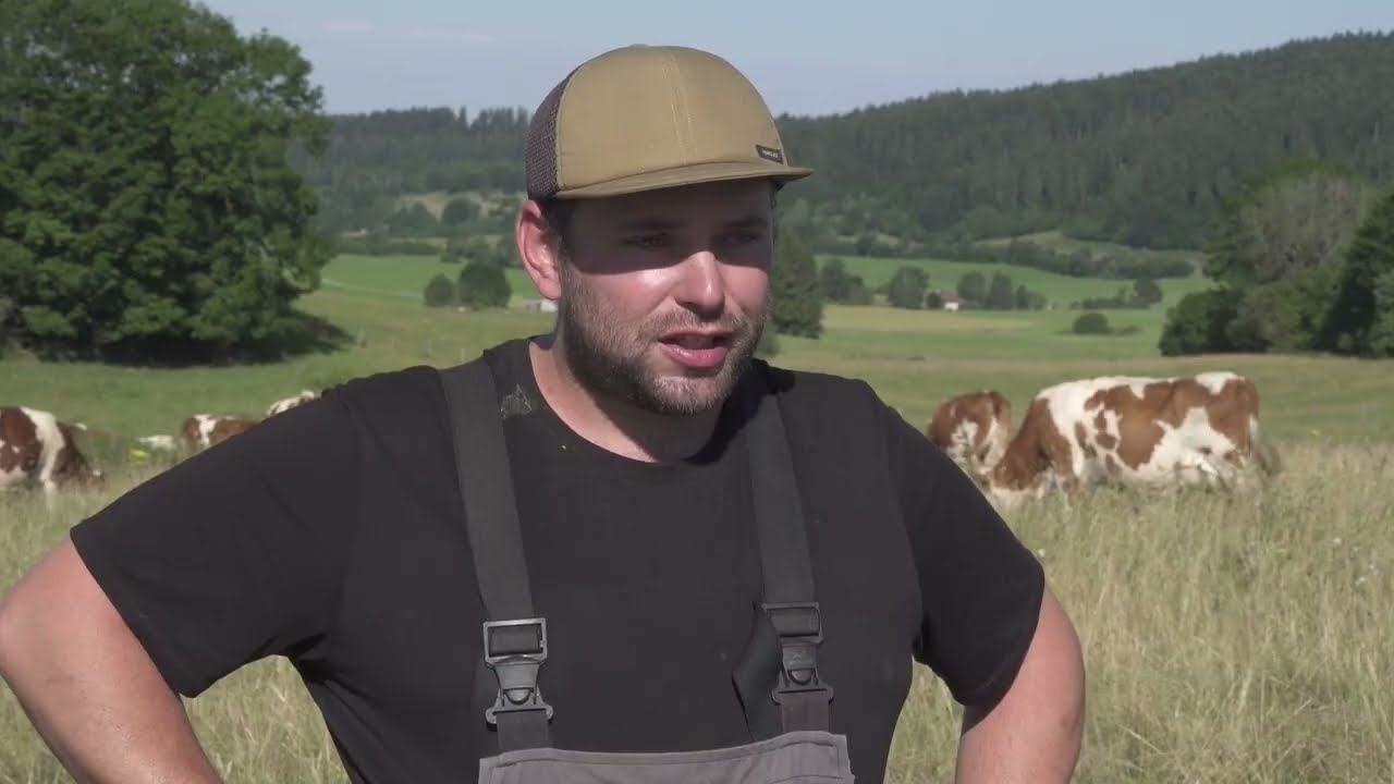 Ferme de la Rasse : Maximiser le pâturage et l'autonomie en fourrage (ferme AOP comté)