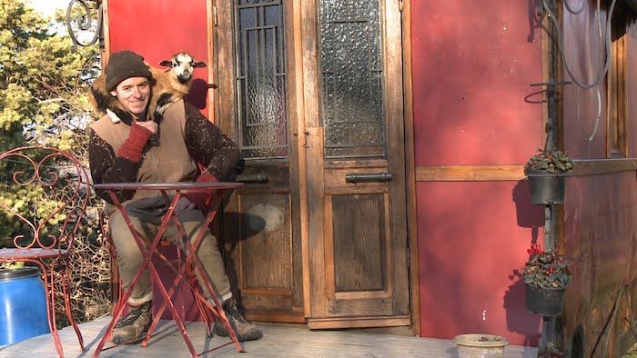 Insolite : Jack et sa collection de moutons !