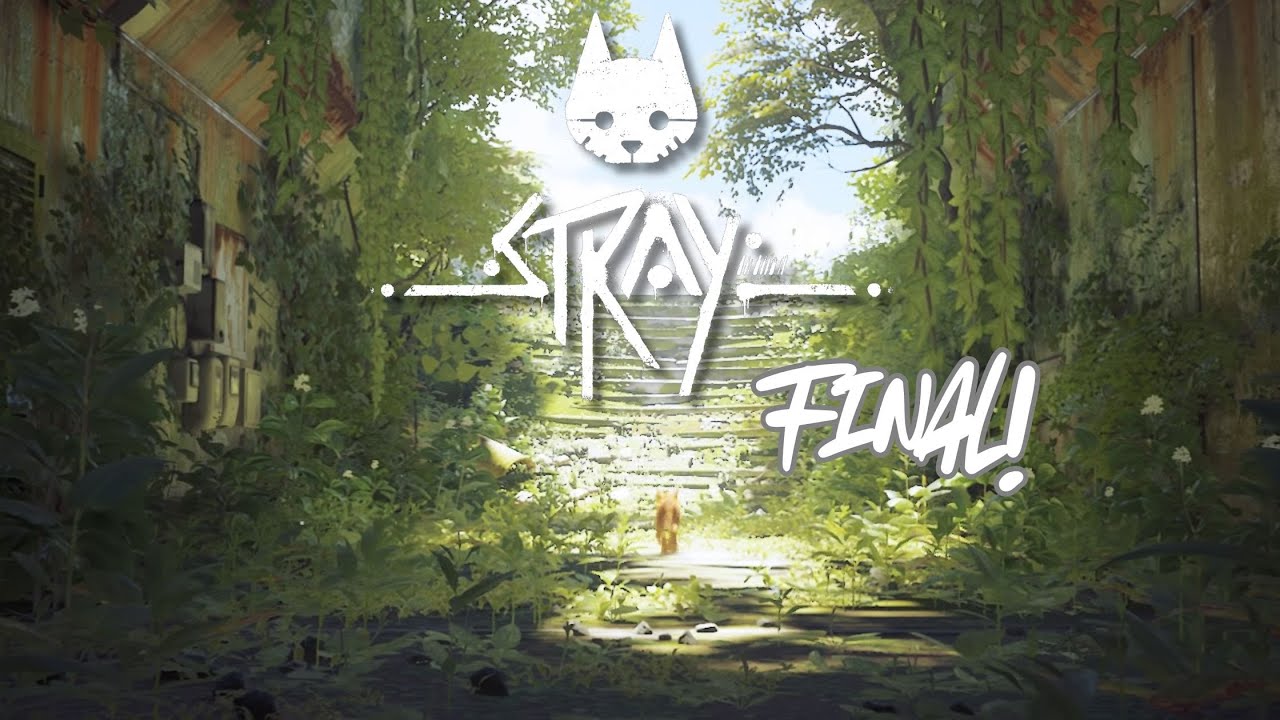 El último Forastero // Stray (Final)