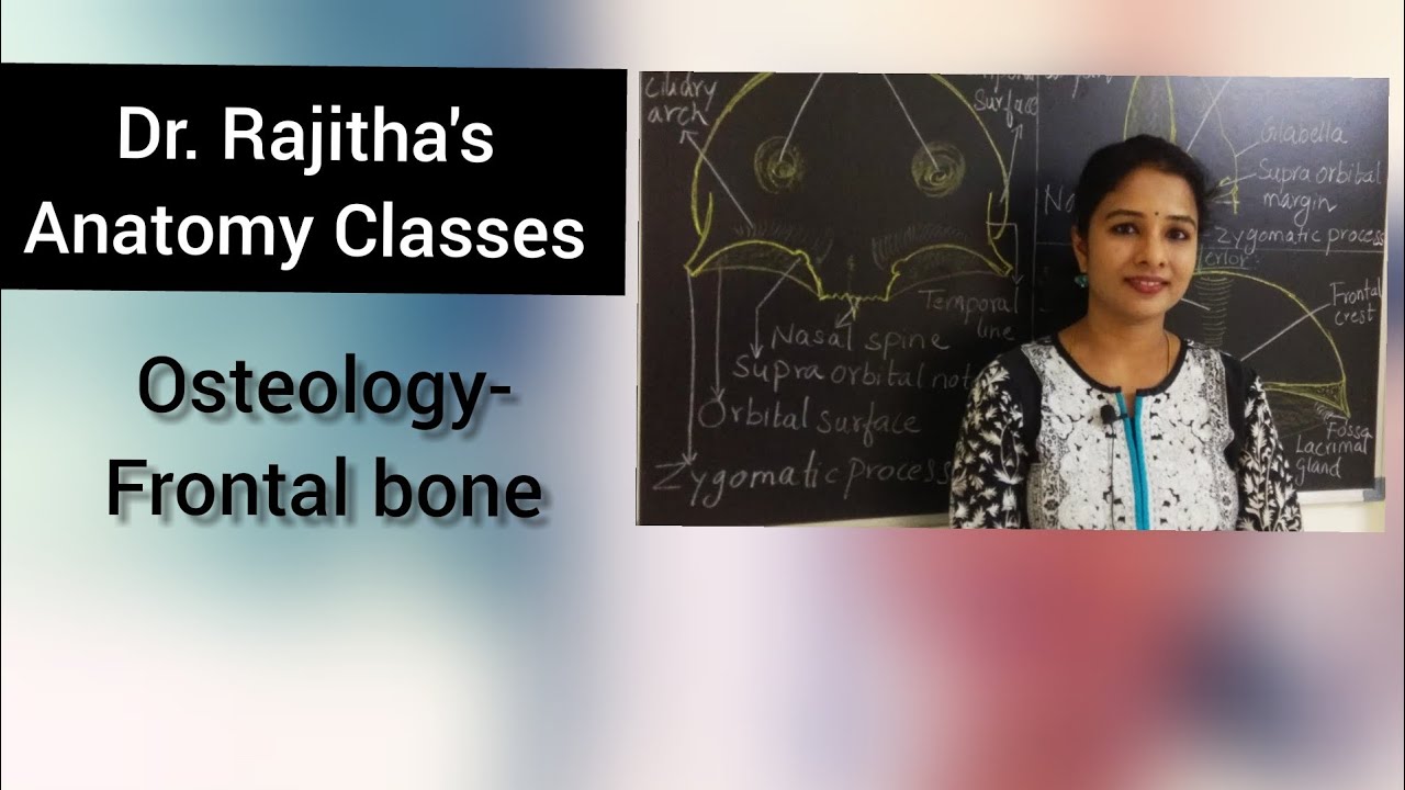 Osteology of Frontal Bone by Dr. Rajitha Vanga