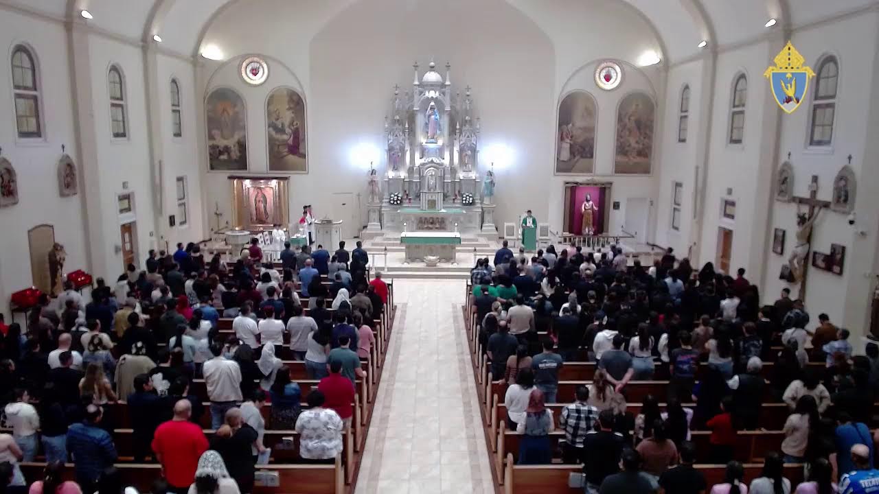 Misa del día