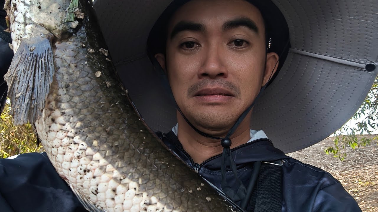 Câu cá lóc Tràm Chim bị cá lôi xuống kênh ngứa mình mẩy || VR Fishing