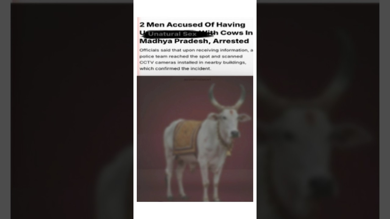 Indore Viral Case: cow abused💔, 2 men arrested.       #crime #criminal #indianews #trending #viral