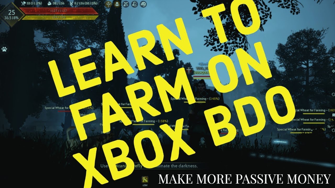BDO XBOX FARMING GUIDE: MAKE MORE PASSIVE MONEY!