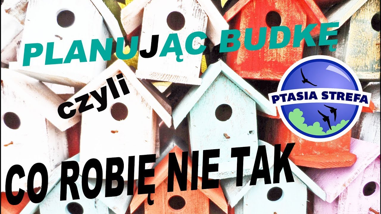 Budki własnego pomysłu - najczęściej popełniane błędy.