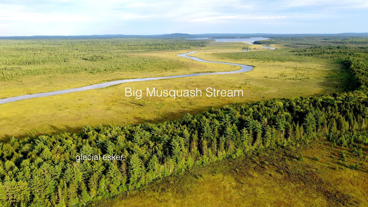 Big Musquash Stream   92121