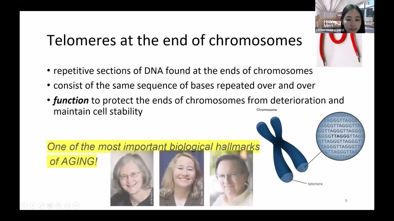 Using Telomere Length and Telomerase Activity as Markers of Cellular Aging