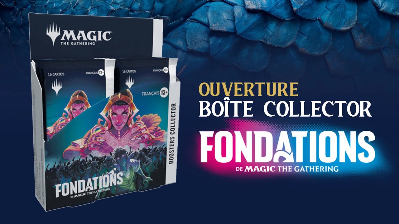Ouverture display Collector Fondations