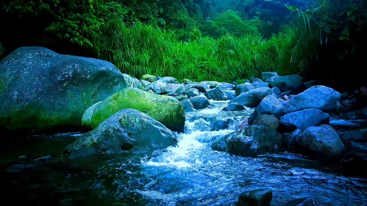 🌊 Gentle River Drift ASMR Sounds for Deep Sleep, Relaxation & Calm Mind
