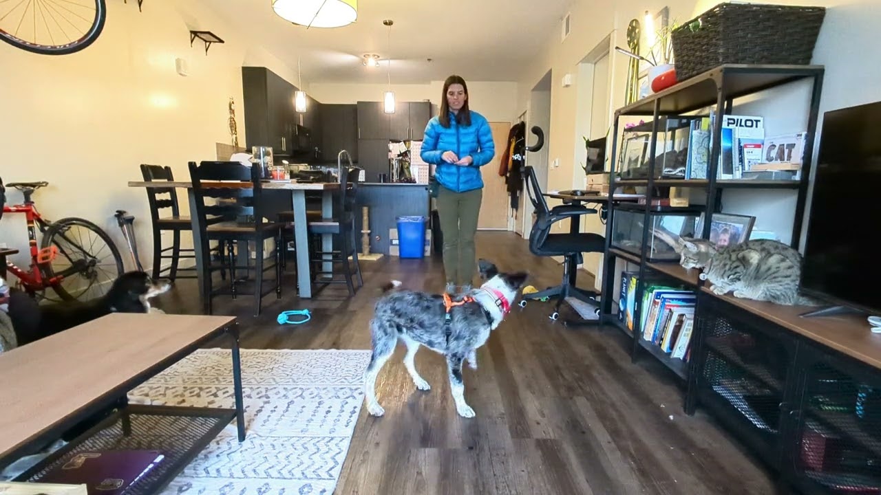 Foster Pebbles - Name Game