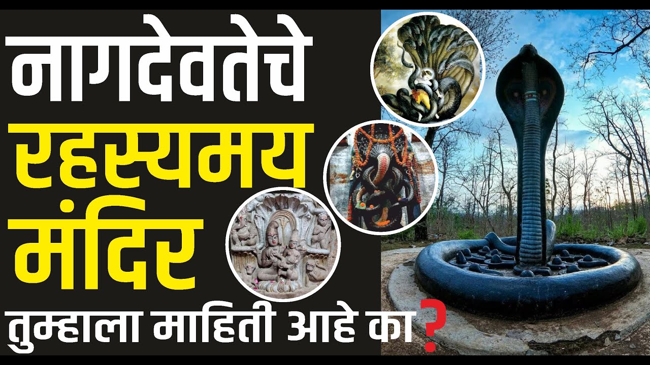 नागदेवतेचे रहस्यमय मंदिरे, जिथे पूजा करून प्रत्येक इच्छा पूर्ण होते |  7 Famous nag temple in India