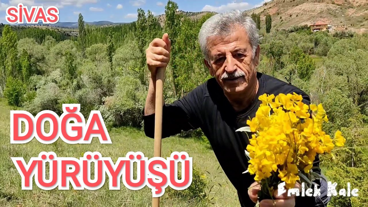 SİVAS DOĞA YÜRÜYÜŞÜ ( ŞARKIŞLA )