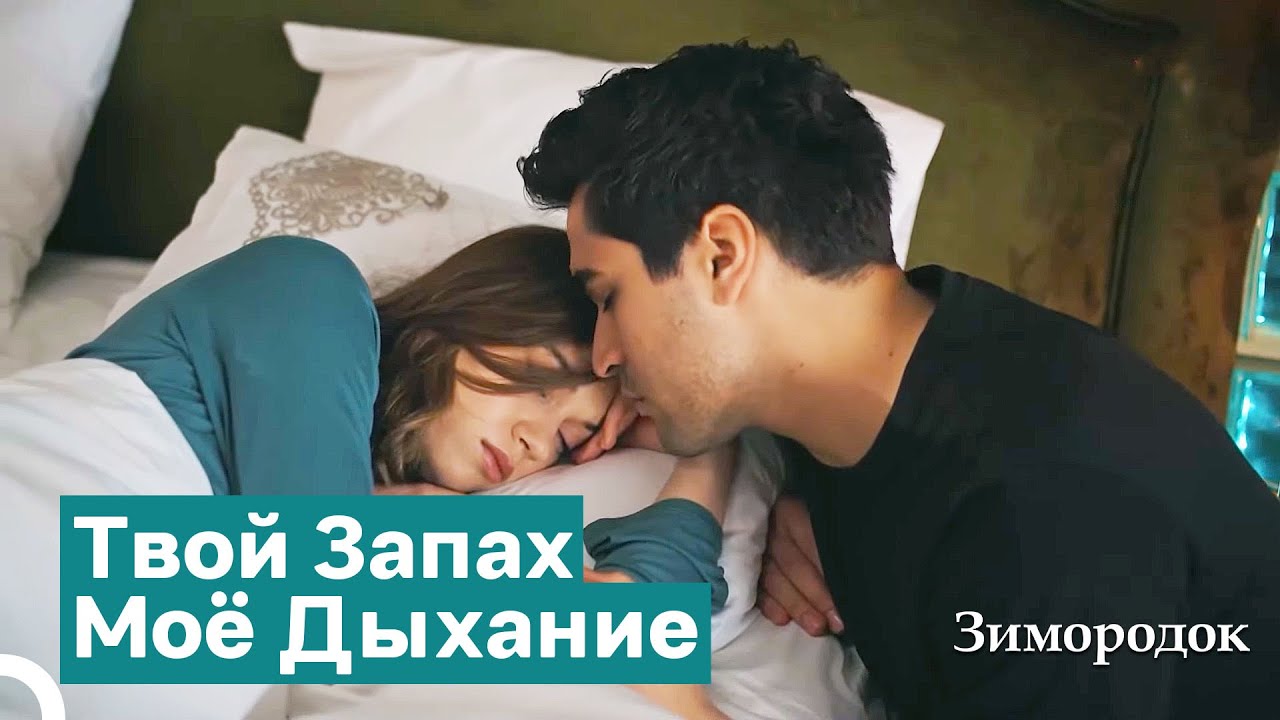 Целуя Тайно Поцеловал Твои Глаза | Зимородок
