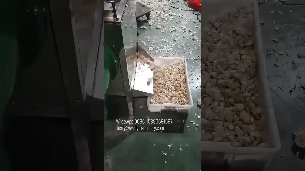 No damage garlic splitting machine | garlic clove separator#garlic #garlicpeeler #garlicmachine