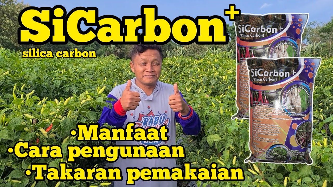 SiCARBON SILICA CARBON MANFAAT UNTUK TANAMAN