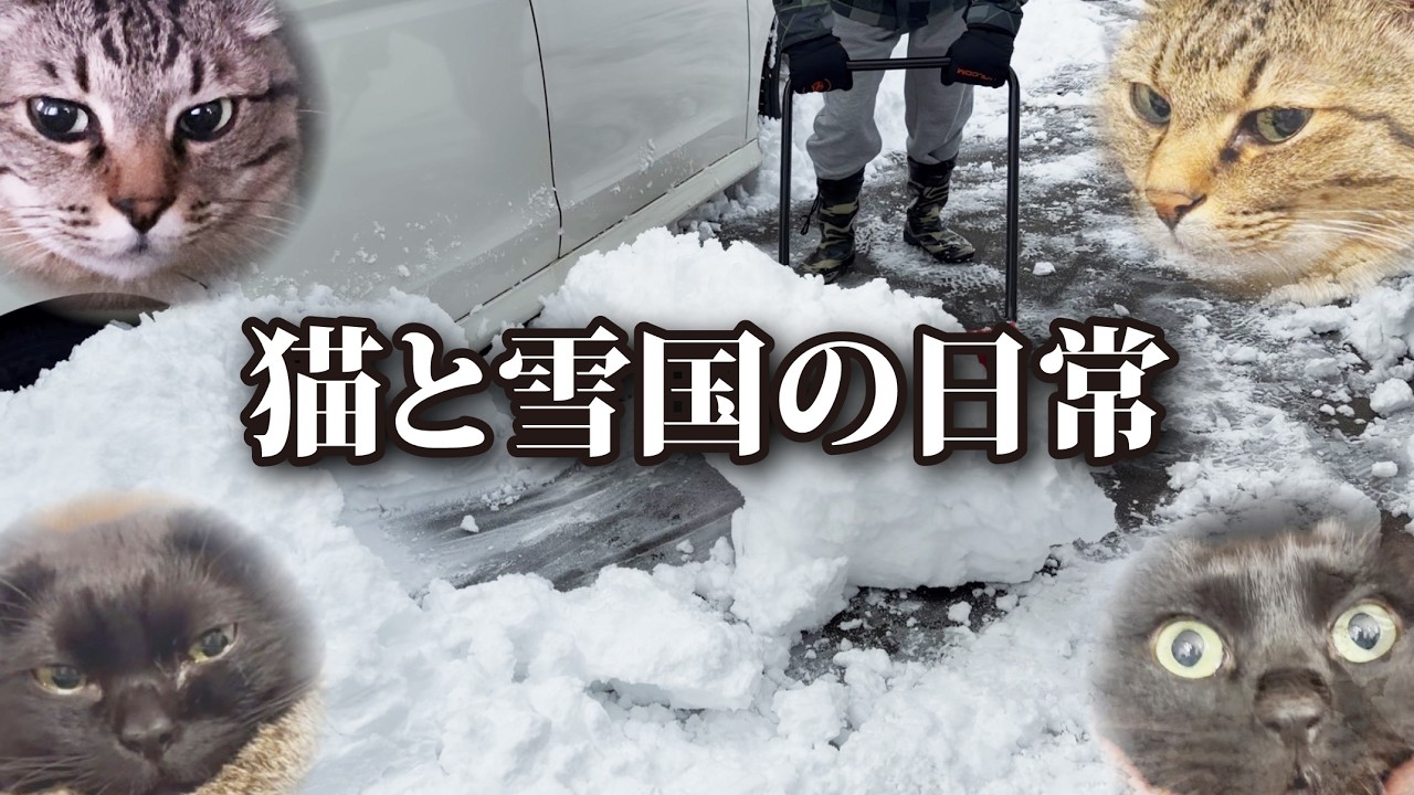 大雪が降った日の雪国の過酷な一日