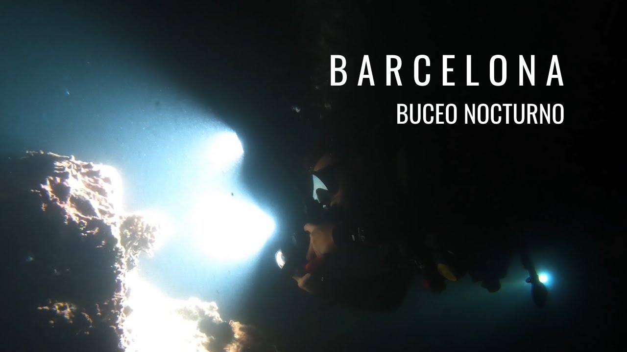 Buceo Nocturno en Barcelona