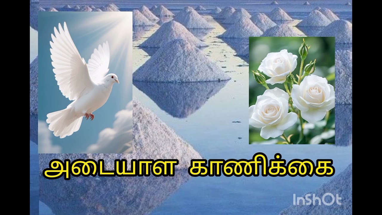 அடையாளக் காணிக்கை. Catholic. Audio Bible.