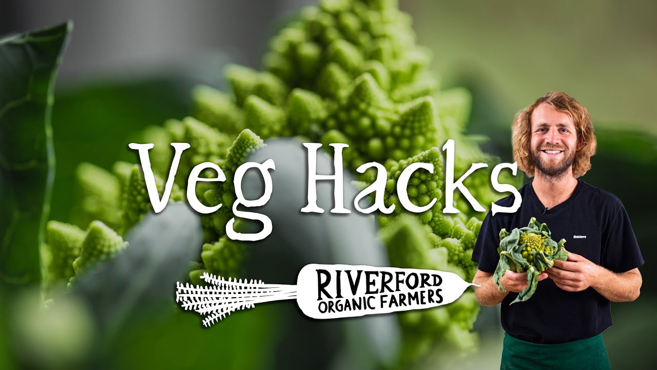 Romanesco Cauliflower | VEG HACKS