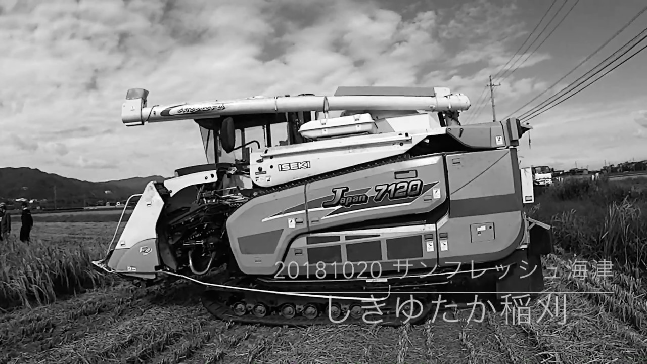 20181020 しきゆたか稲刈り サンフレッシュ海津