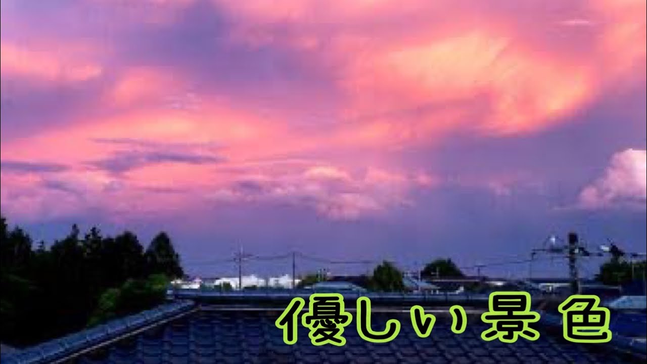 立ち止まって見えた景色、止まって良いんだって思えた😊　:     Mimi