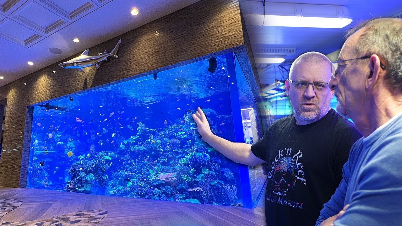 Gehören FISCHE in ein AQUARIUM? - USA Tour bei Polo's Reef