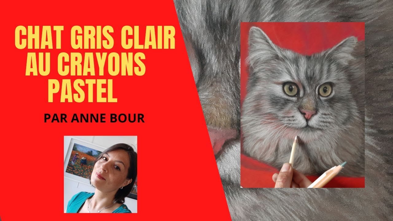 TUTO : Chat gris au pastel sec: Partie 1, par Anne BOUR