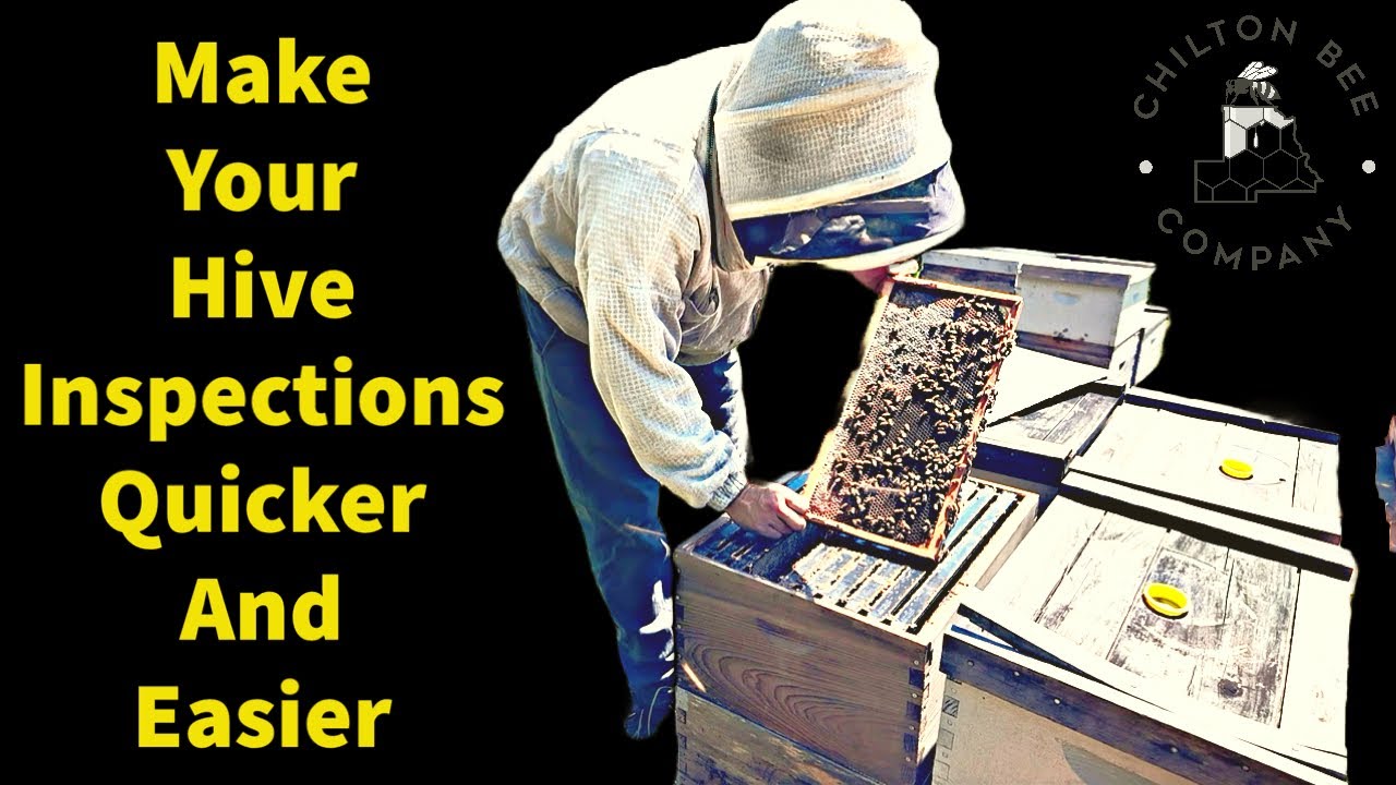 How To Make Your Hive Inspections Quicker And Easier