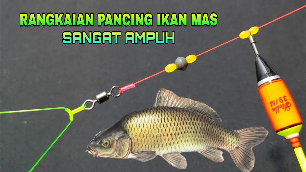 Cara membuat rangkaian pancing ikan mas tombro 2 mata kaial