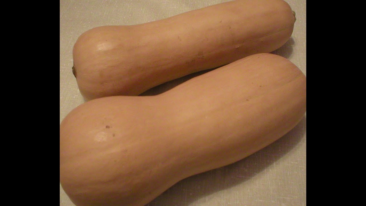 Butternut Squash 101-Selecting and Storing Butternut Squash