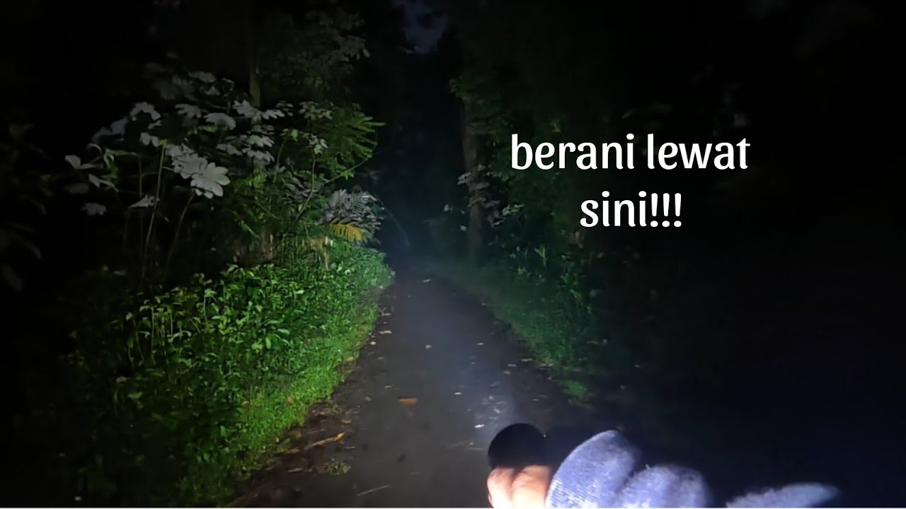 Keangkeran hutan cifor situgede bogor barat
