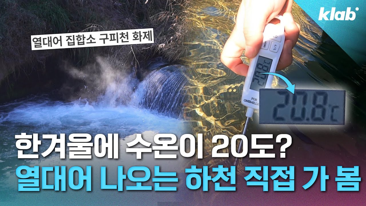 사계절 내내 열대어 나온다는 국내 하천의 정체｜크랩