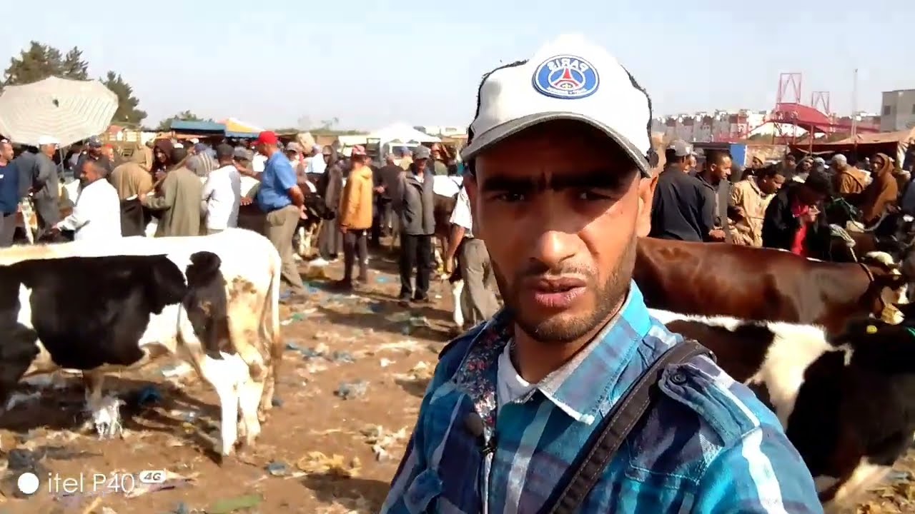جولة في رحبة الابقار العيادية السوق الأسبوعي سبت تمارة