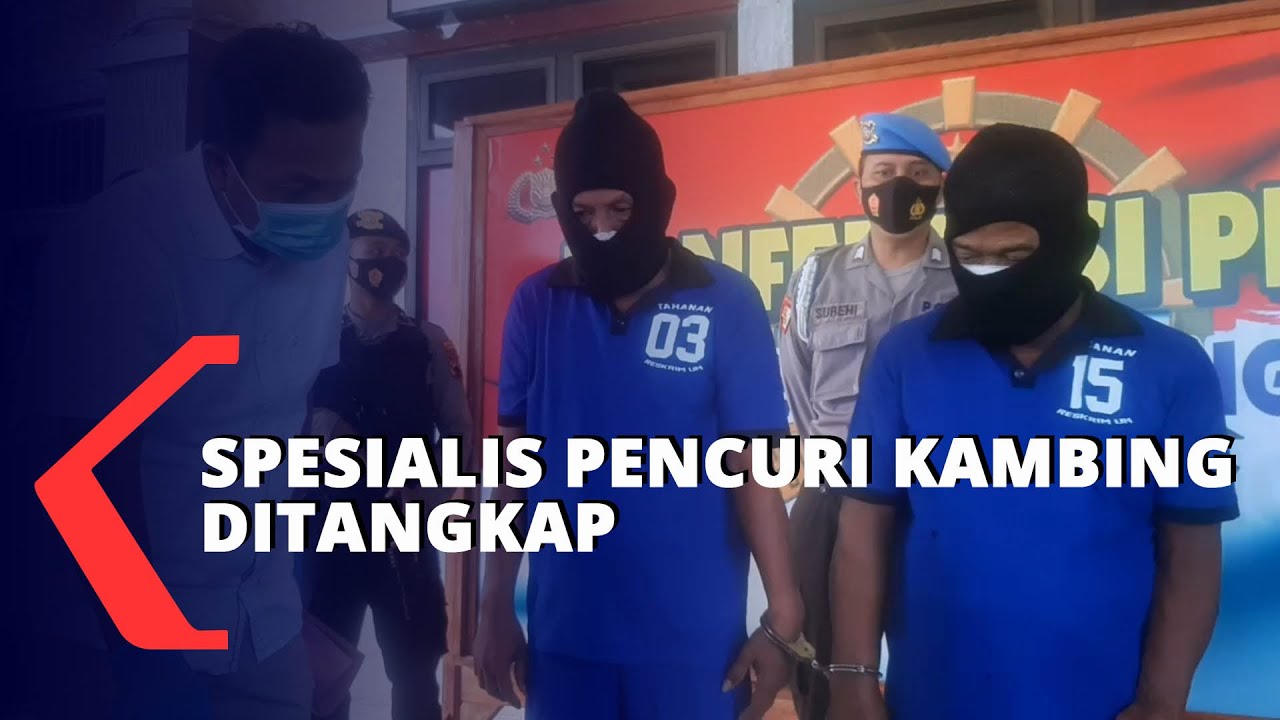 Spesialis Pencuri Kambing Ditangkap Polisi