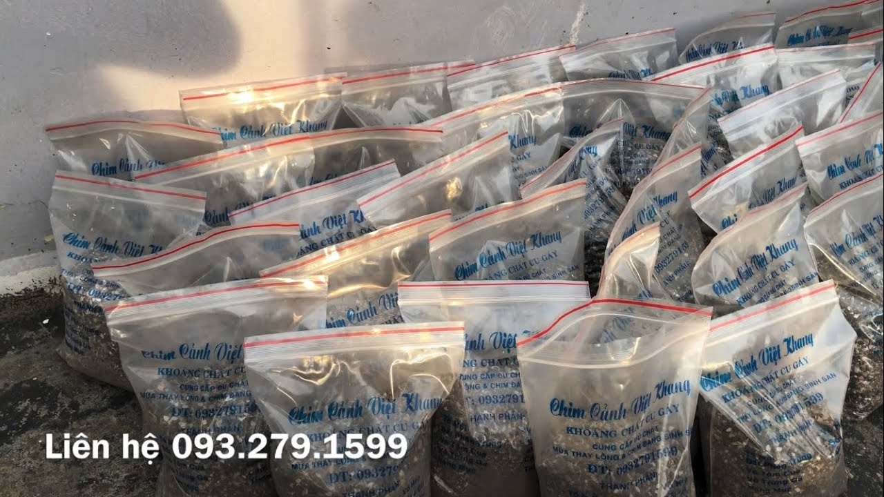 Chim Cu Gáy và thức ăn bổ sung, anh em cần liên hệ 093.279.1599
