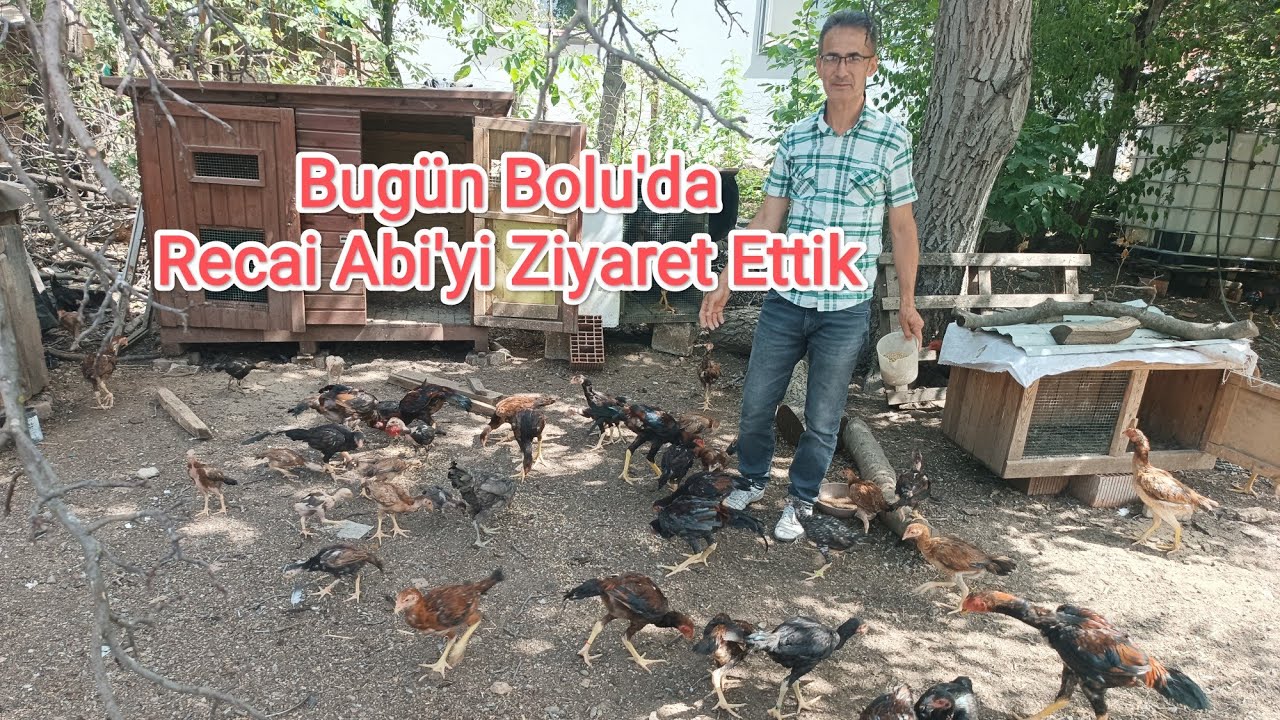 Bugün Bolu'da Recai Abi'yi Ziyaret Ettik.