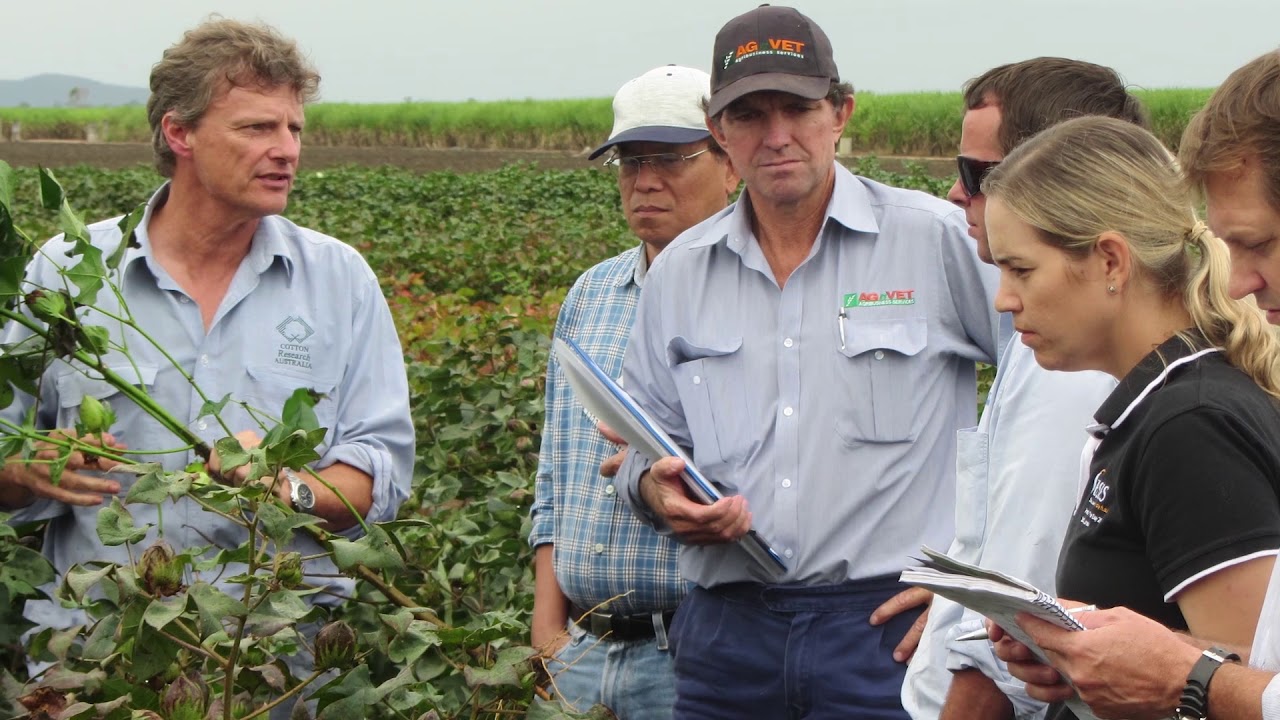 Cotton Seed Distributors Researcher of the Year 2017 Finalist Forum