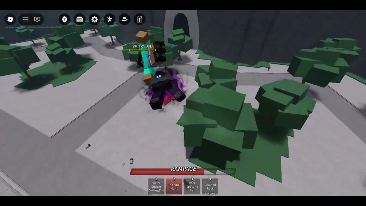 training and 2v1 with my brother and my cousin