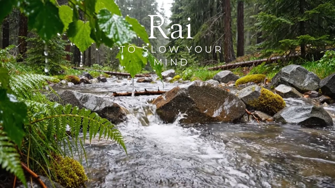 Forest Stream Rain Sounds Flowing Water  Gentle Rain for Deep Sleep