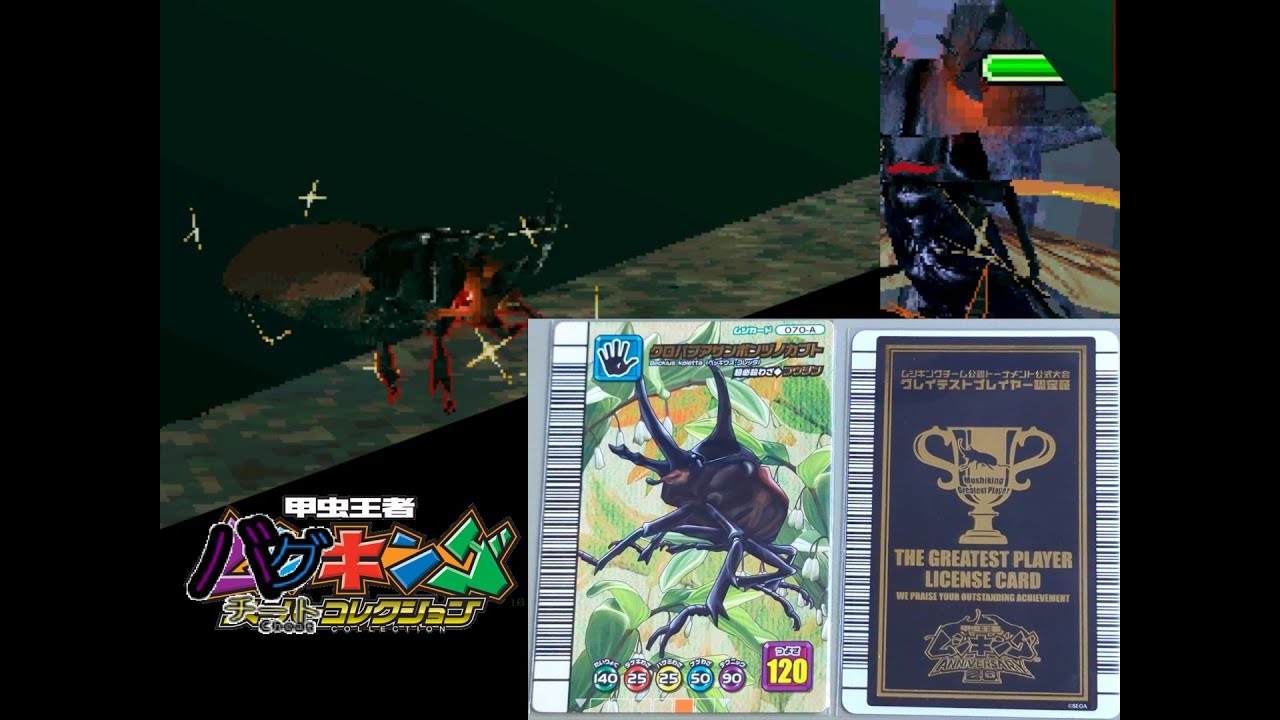 甲虫王者ムシキング スーパーコレクション バグキングチートコレクション ～1月3日の戦果報告その1・グラフィック若干崩壊を載せて編～