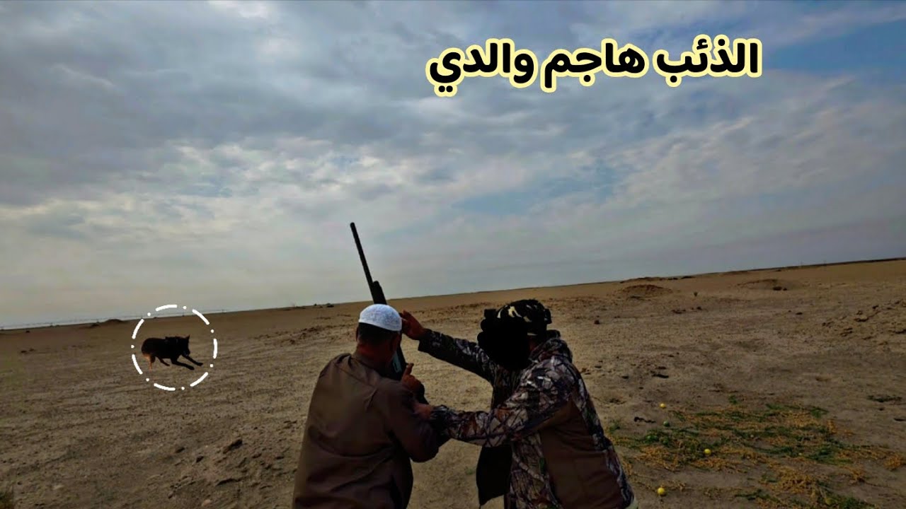 صيد الخضيري والكطا في الصحراء😲+ابو عباس عثر على ذئب والنتيجه صادمه